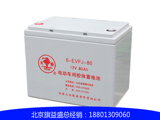 火炬6-EVFJ-80蓄電池（適用于巡邏車，觀光車，高爾夫球車等）