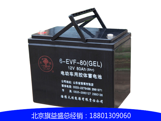 火炬6-EVF-80免維護膠體觀光車蓄電池
